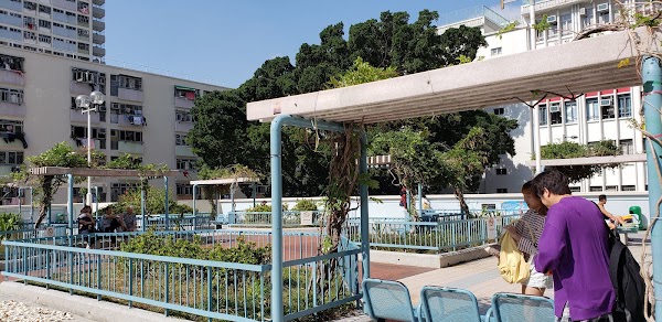 Choi Hung Estate Rooftop Basketball Court 3