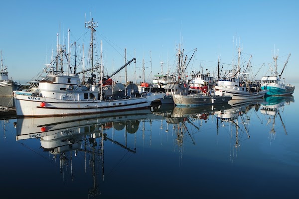 Steveston Harbour 5