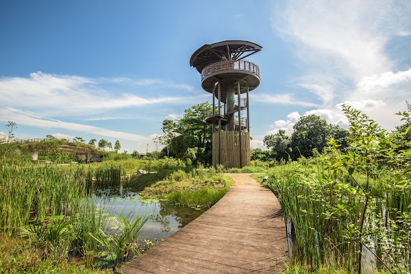 Kranji Marshes 1