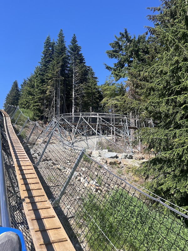 Gravity Coaster