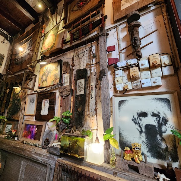 The Baboon House