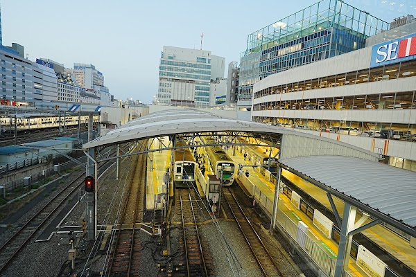 Ikebukuro Station 4