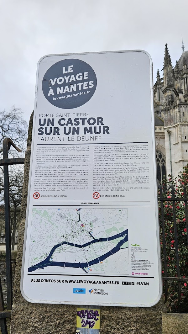 Un Castor sur un Mur 4