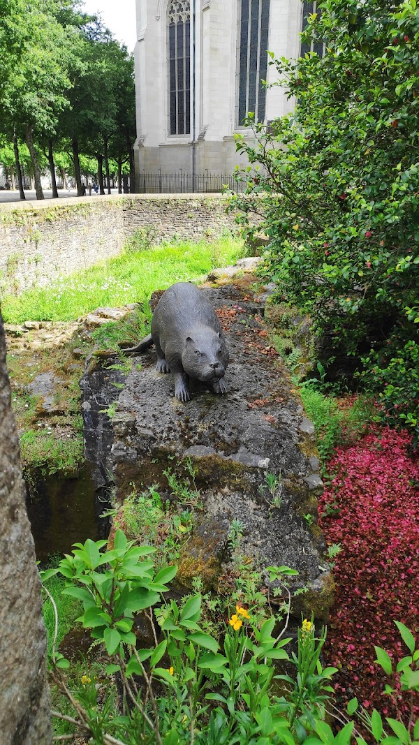 Un Castor sur un Mur 2