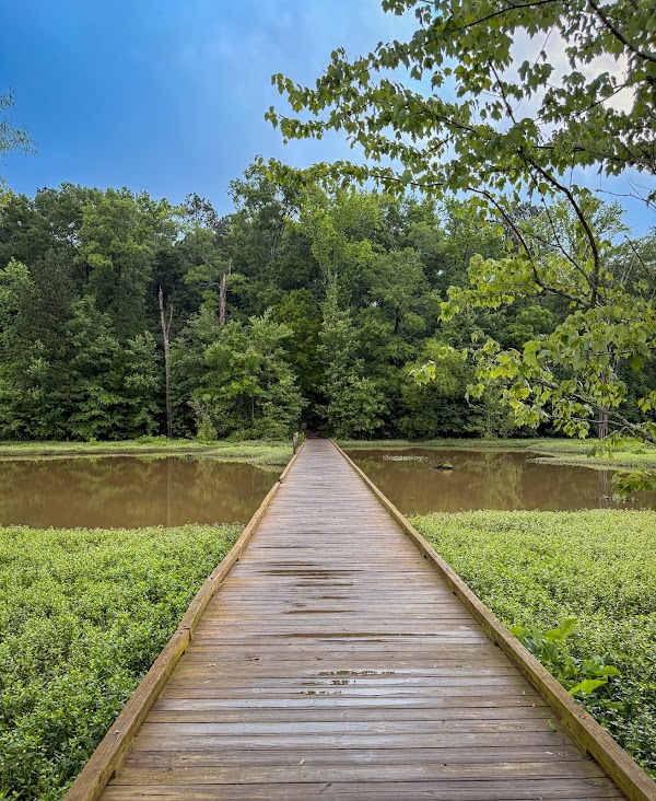 Doll's Head Trail 3