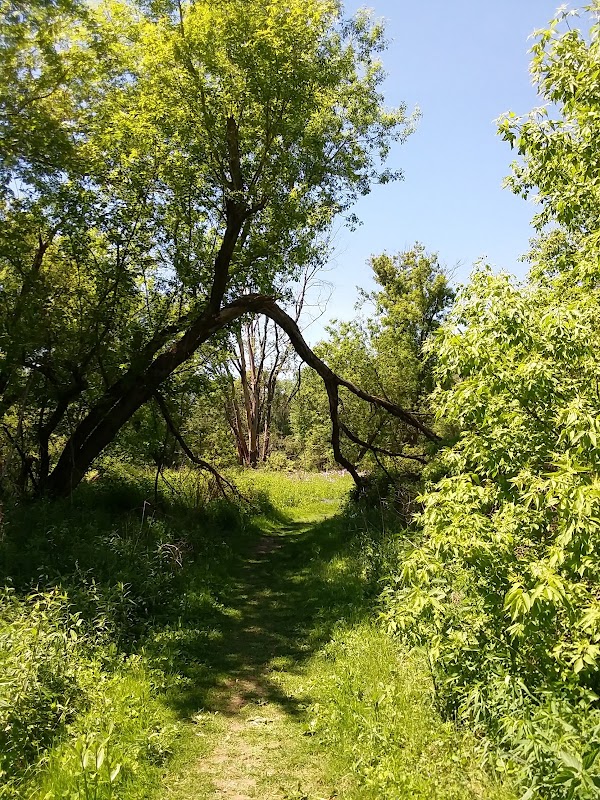 Housatonic Flats Reserve