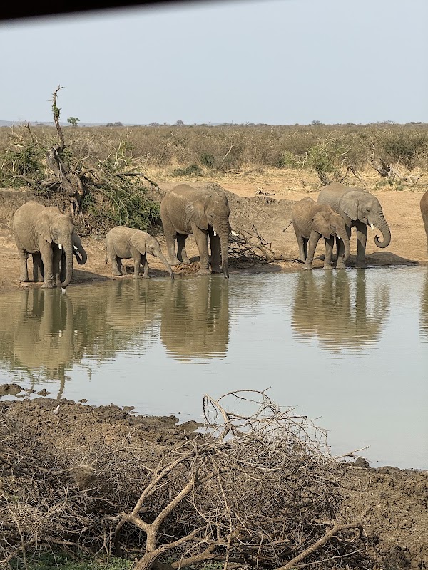 Madikwe Game Reserve 5