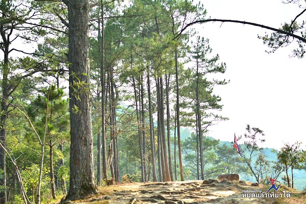 Doi Hua Moo Viewpoint