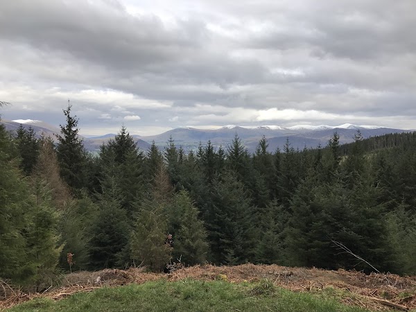 Whinlatter Forest Park