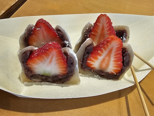 자이소 안국 5