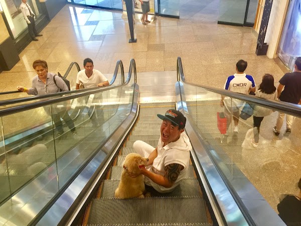 Greenbelt 3 - Ayala Malls 2