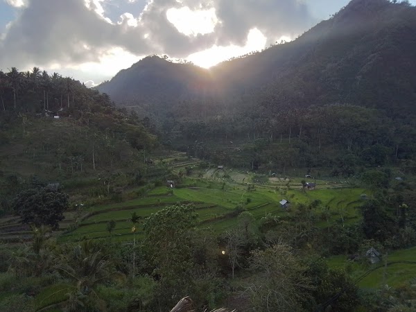 BERINA RICE TERRACE 3