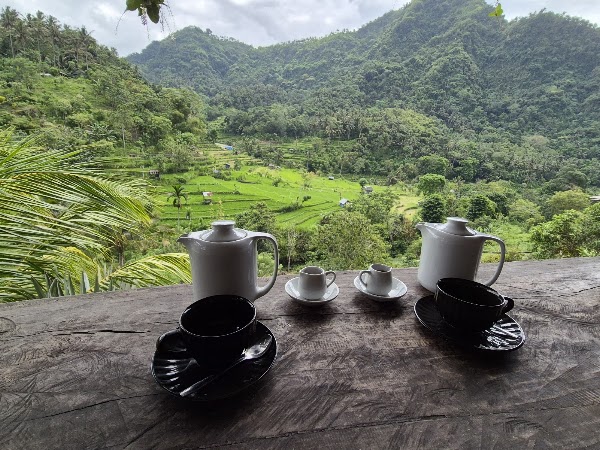 BERINA RICE TERRACE 2