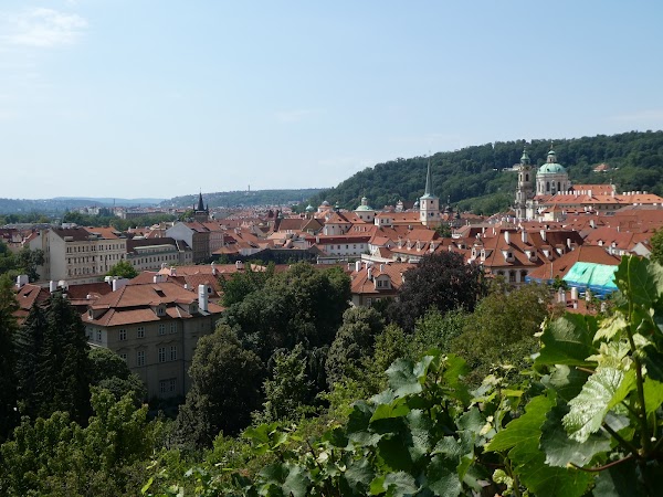 Almanac X Alcron Prague