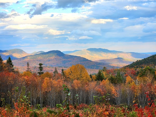 White Mountain National Forest 1