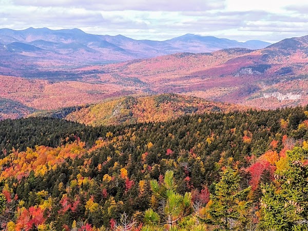 White Mountain National Forest 5