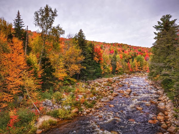 White Mountain National Forest 3