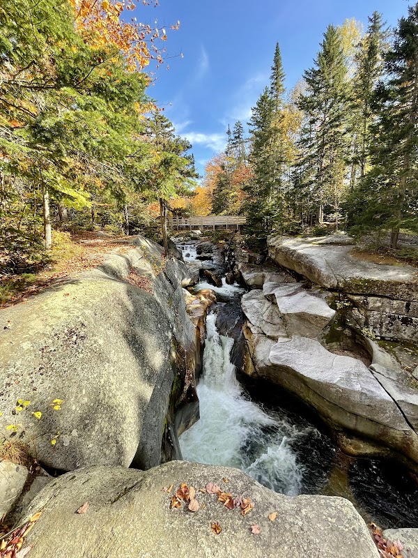 White Mountain National Forest 2
