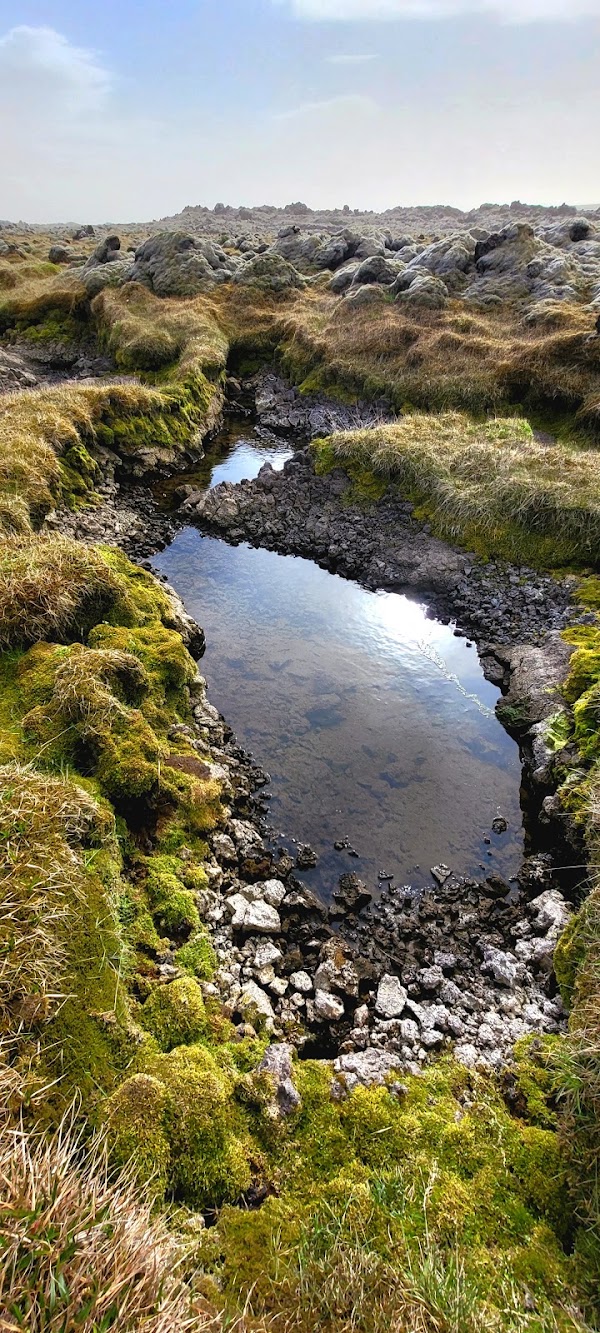 Blágil skáli & tjaldsvæði 2