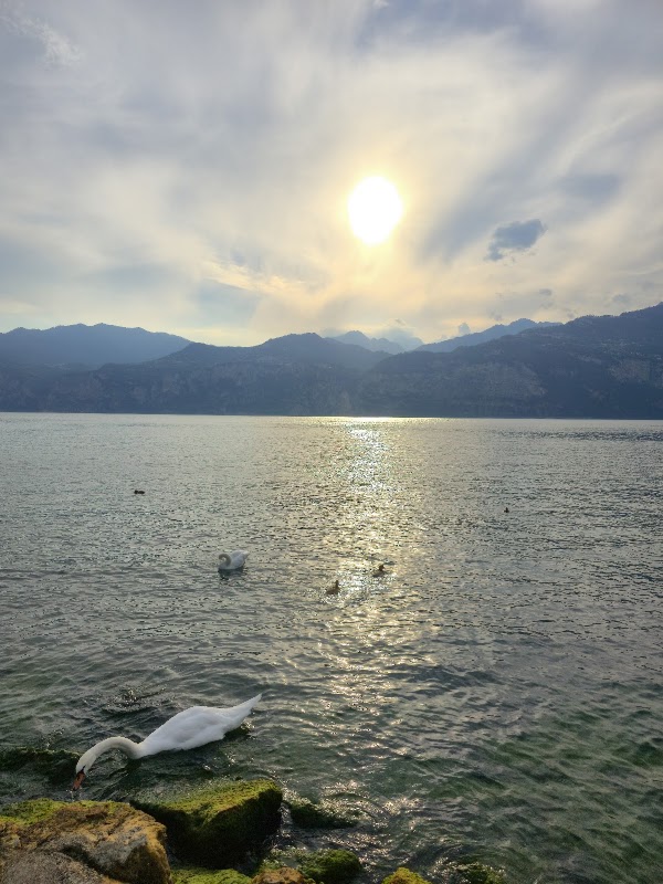 Spiaggia Paina 3