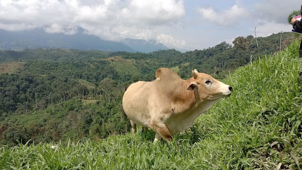 Xaisomboun Province 2