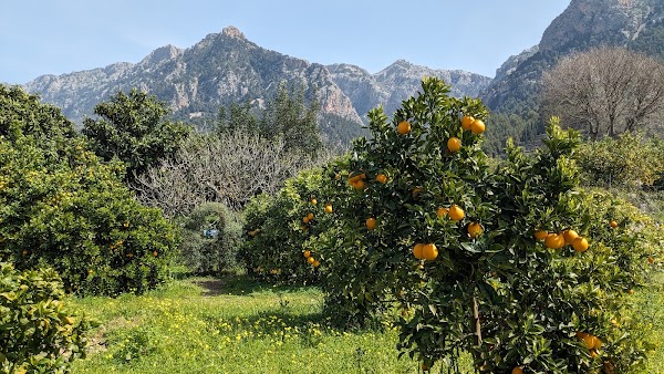 Ecovinyassa