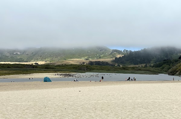 Carmel River State Beach 5