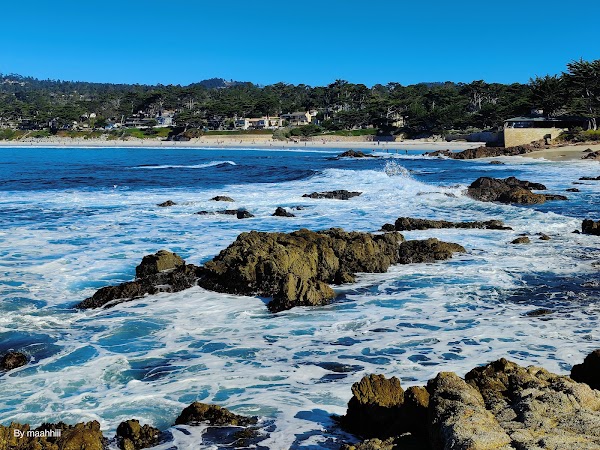 Carmel River State Beach 3