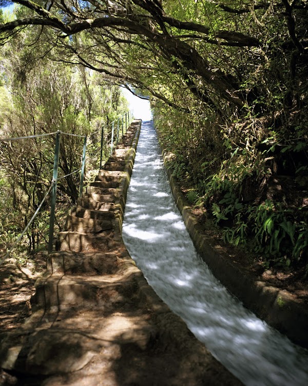 Levada do Alecrim 1