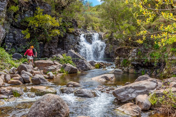 Levada do Alecrim 5