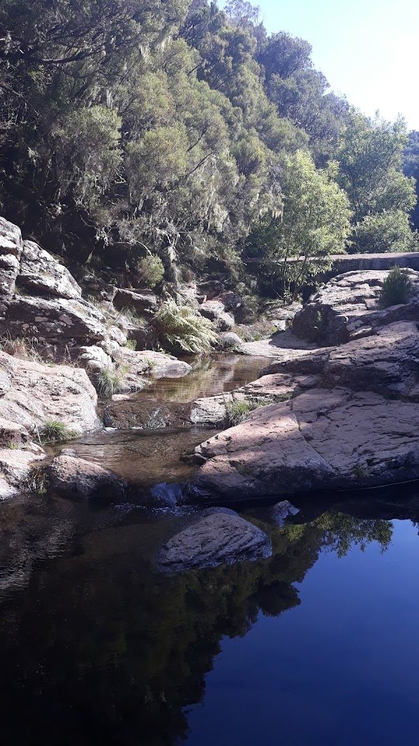 Levada do Alecrim 2
