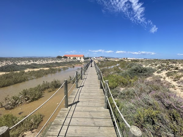 Culatra Island 5