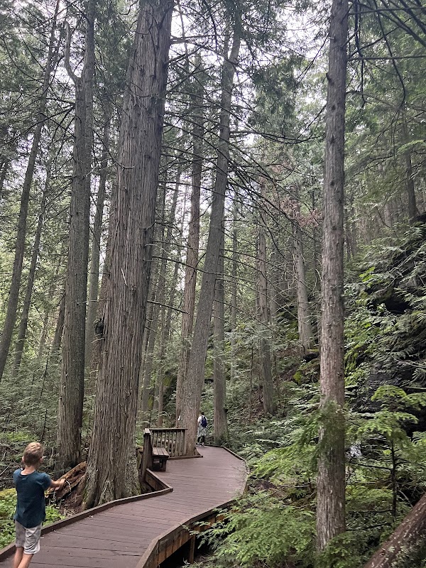 Trail of the Cedars Nature Trailhead 5