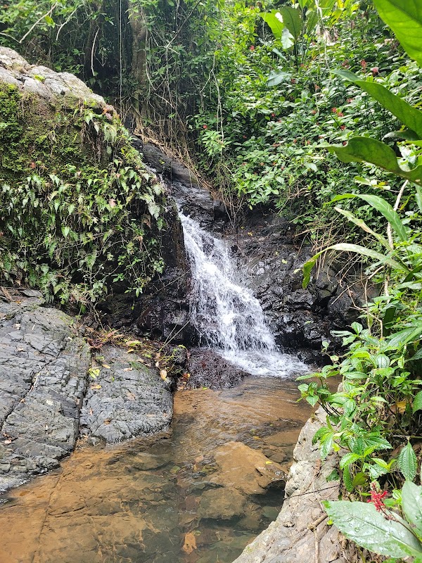 Orocovis