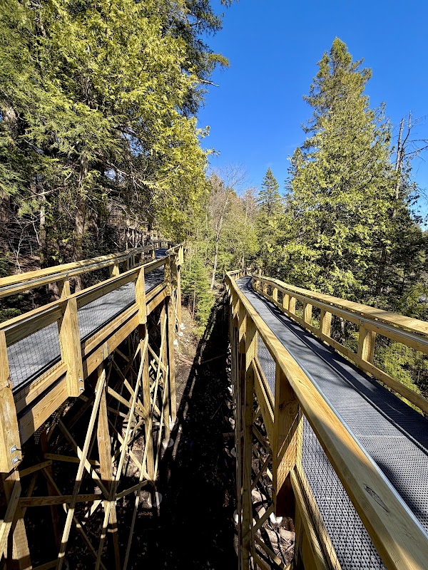 Tahquamenon Upper Falls 5