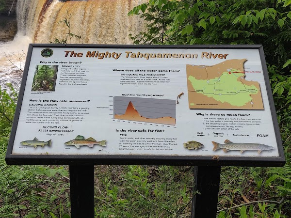 Tahquamenon Upper Falls 4