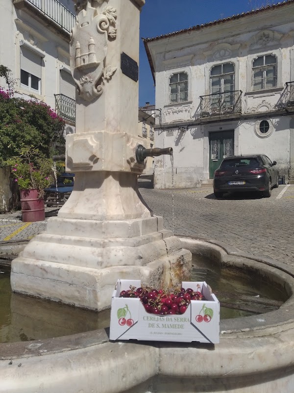 Portalegre 1