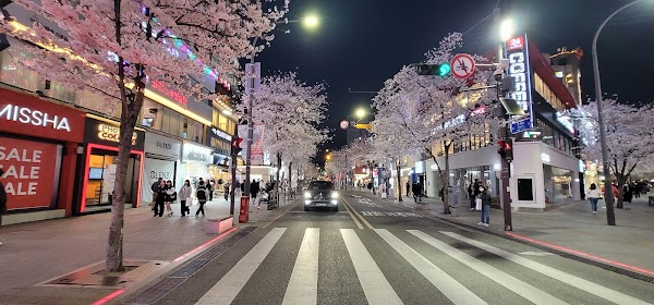 Yonsei-ro Street 5