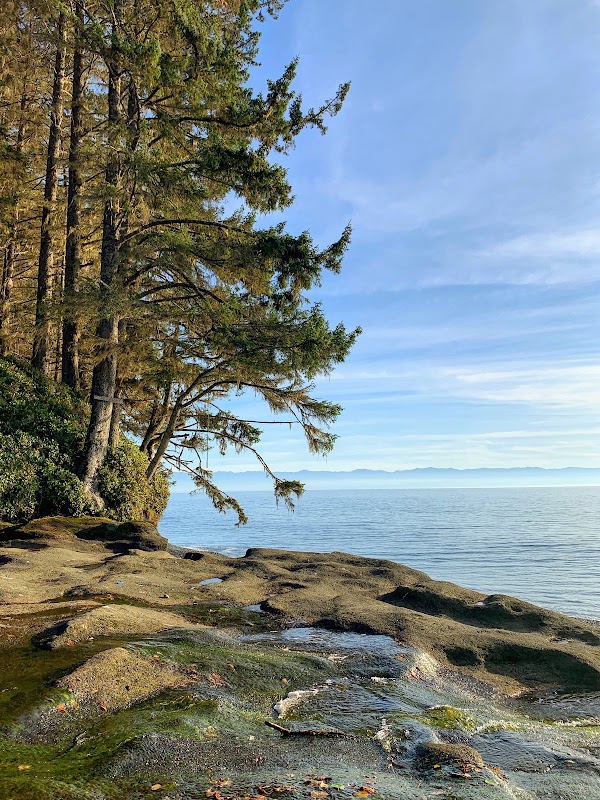Sandcut Beach 4