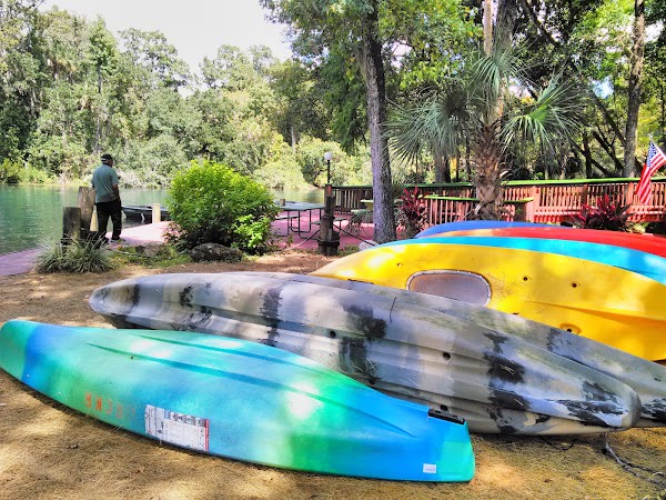 Chassahowitzka River Campground 5
