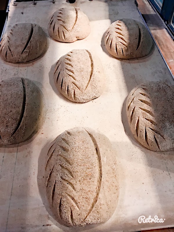 artic Bakehouse 4