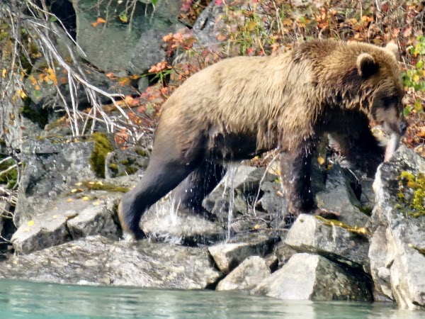 Lake Clark National Park and Preserve 4