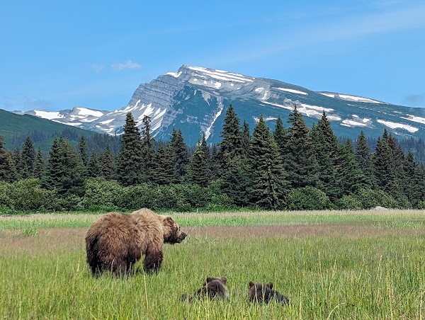 Lake Clark National Park and Preserve 2