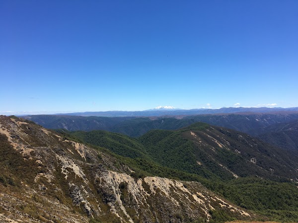 Kaweka Forest Park