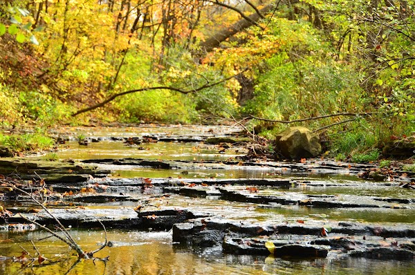 Felker's Falls Conservation Area 3