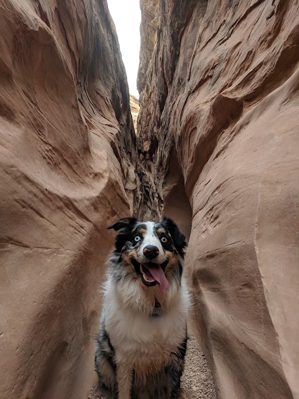Crack Canyon