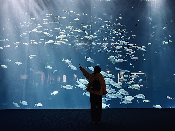 Shikoku Aquarium 5