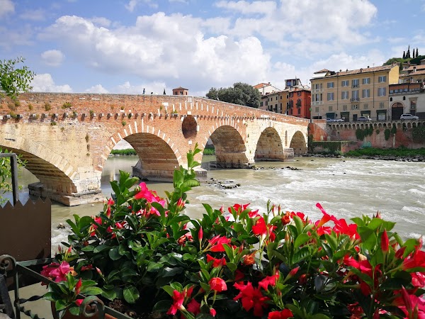 Verona 3