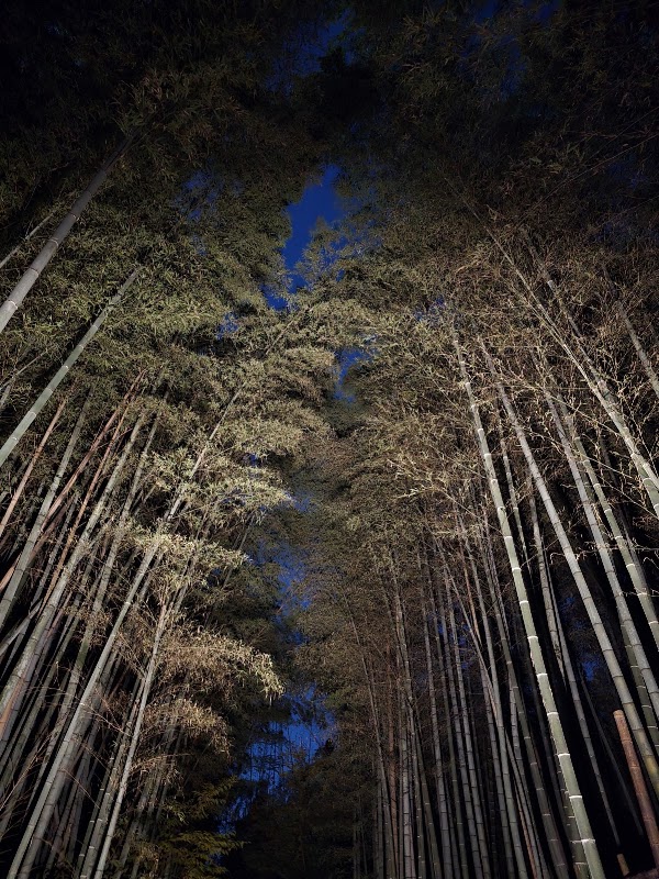 竹の径