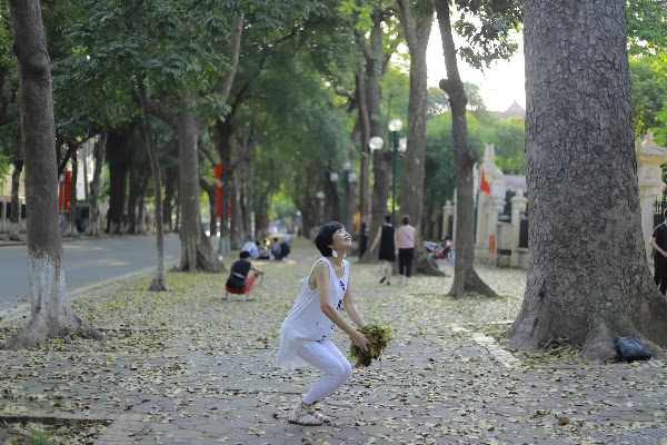 Phố Phan Đình Phùng 5